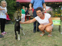 IMG_0E681A-8DCCF0-F7D1BD-0FC3E1-B4EEA2-87A2A0.jpg